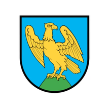 Gmina Niemodlin